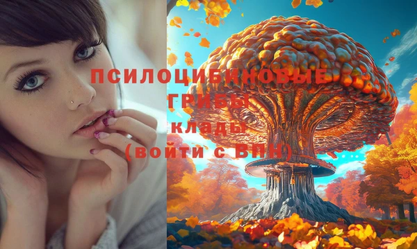 гашик Баксан