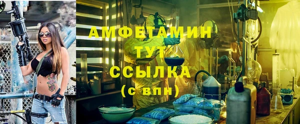 прущие грибы Балахна