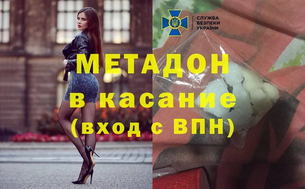 прущие грибы Балахна