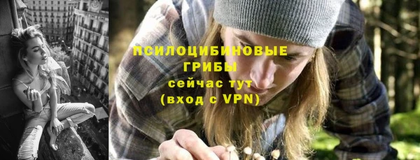 гашик Баксан
