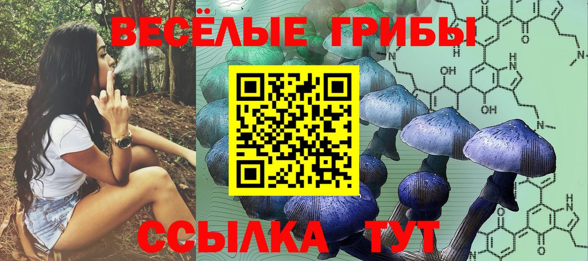 Новомосковск  Псилоцибиновые грибы Cubensis  Псилоцибиновые грибы ЛСД  Вход с VPN 