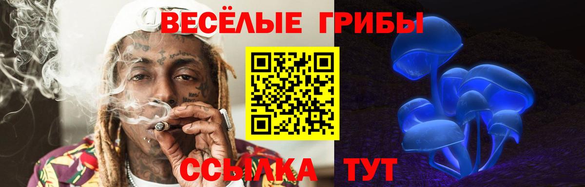 Галлюциногенные грибы мухоморы Новомосковск